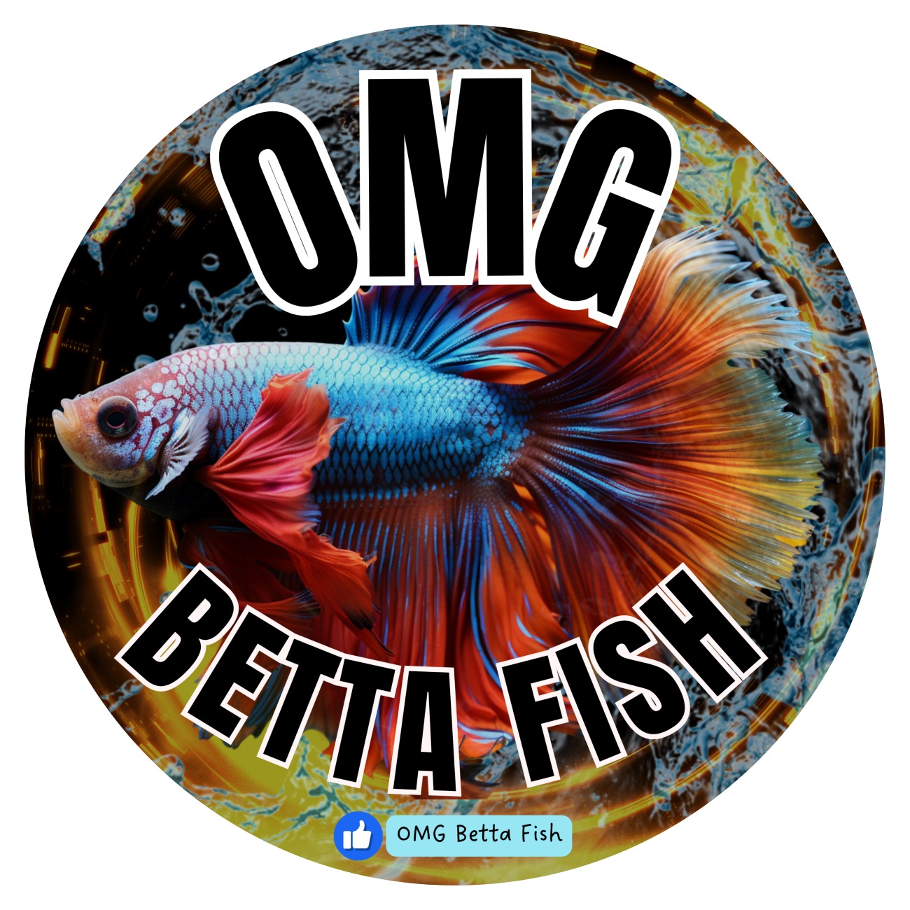 OMG Betta Fish , Online Shop | Shopee Philippines
