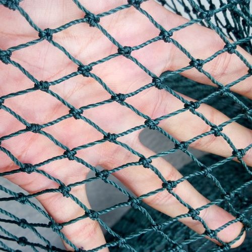 Chicken Net-shop-PH, Online Shop | Shopee Philippines