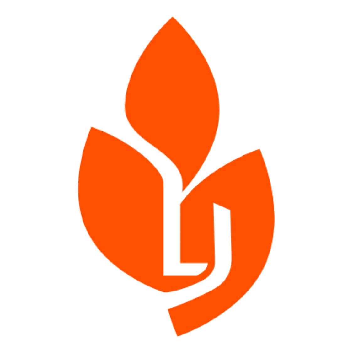LJ Rice Trading, Online Shop | Shopee Philippines