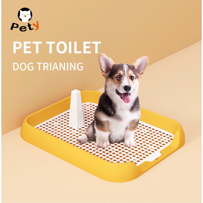 Dog pee outlet trainer