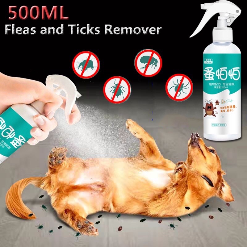 Flea removal outlet for dogs