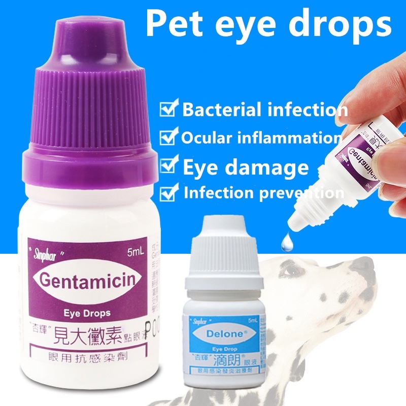 Gentamicin ophthalmic 2024 solution for dogs