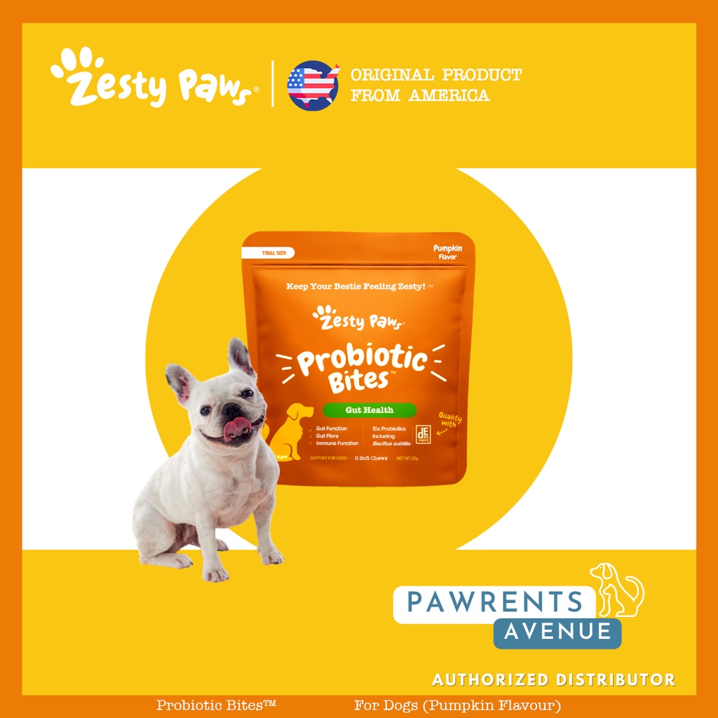 Probiotic bites for outlet dogs