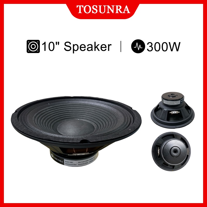 Speaker 10 inch cheap 300 watt