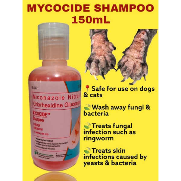 Mycocide Shampoo 150mL medicated shampoo for dogs Cats horse etc