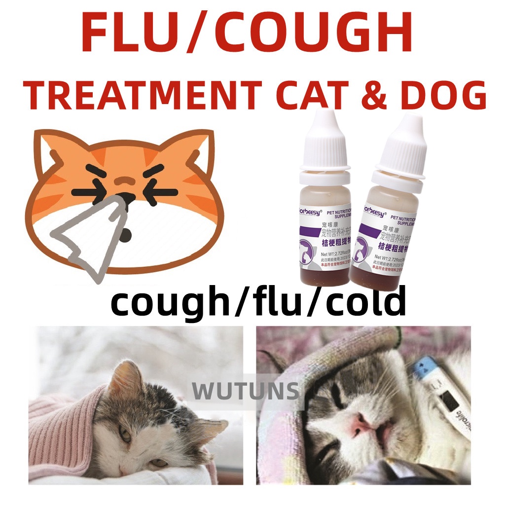 Cure for best sale cats with colds