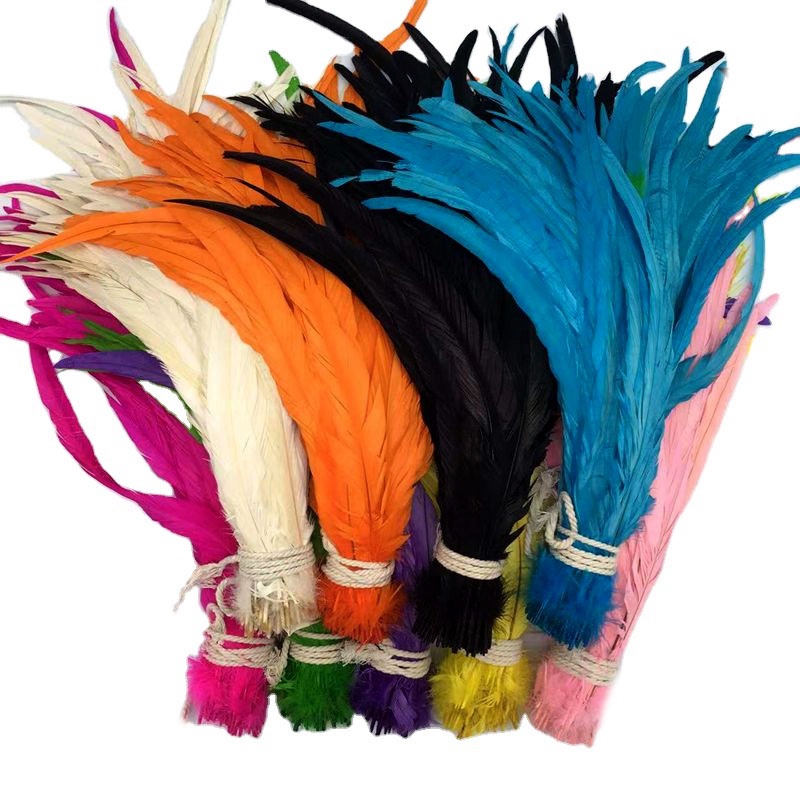 20pcs Variety of Black Feathers Rooster Goose Feathers Ostrich Pheasant  Feathers for Crafts Carnaval Assesoires Feather Decor