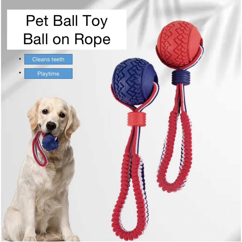 Dog training outlet ball on rope