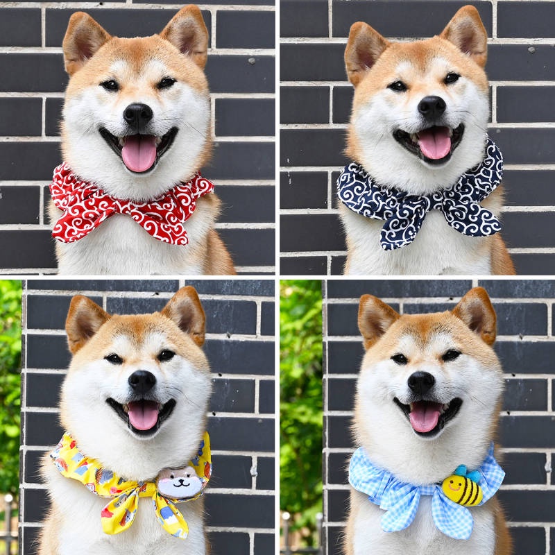 Shiba inu green clearance scarf